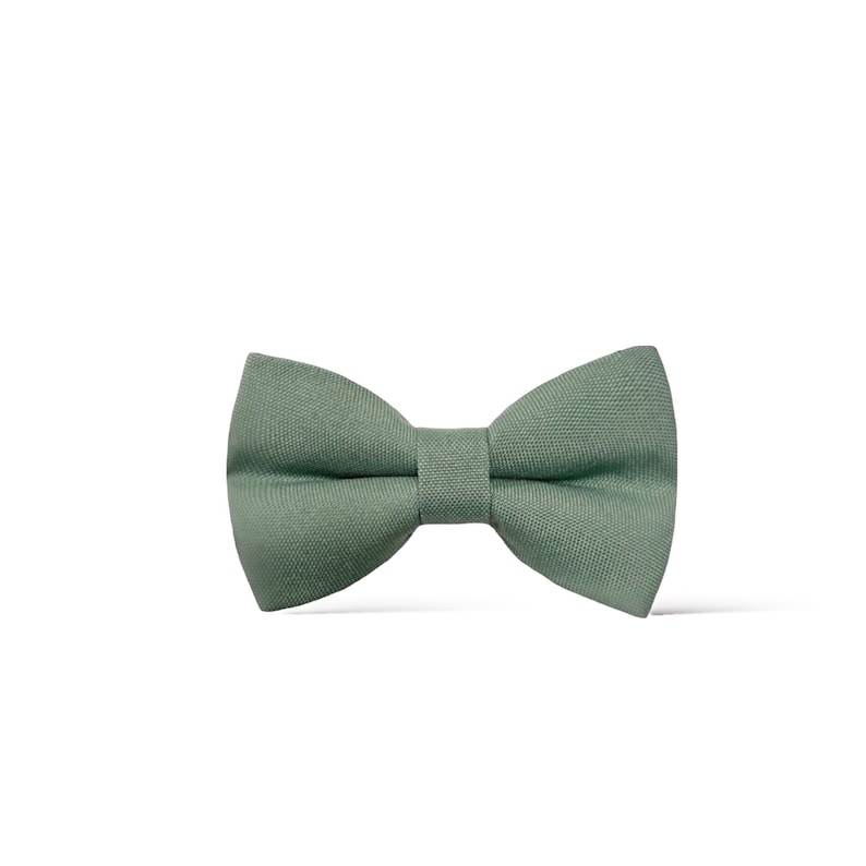 Dusty Sage Green Necktie, Wedding Groomsmen Gift Mens Tie Groomsman Groom