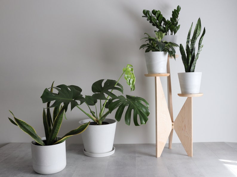 Three Tier Plant Stand, Maple, Mid-century modern, Solid Hardwood
