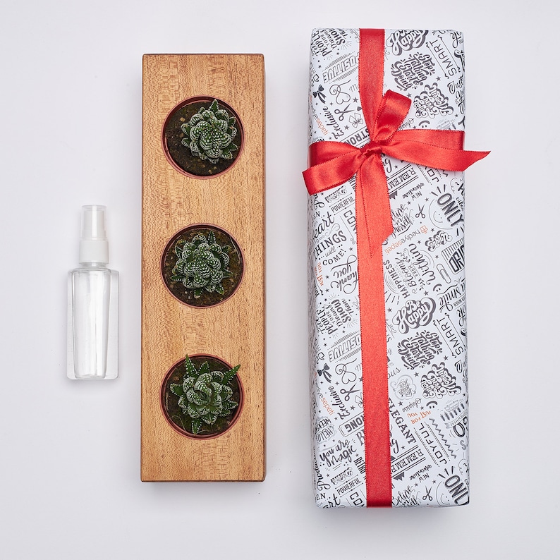 Best Mom Succulent Planter, Wooden Indoor Plant Holder, Personalized Plant Pot, Mom Appreciation, New Mom, Mother's Day Gift for Mom Grandma
