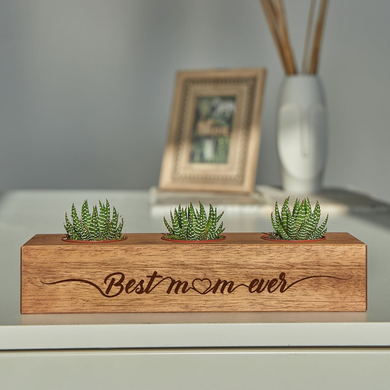 Best Mom Succulent Planter, Wooden Indoor Plant Holder, Personalized Plant Pot, Mom Appreciation, New Mom, Mother's Day Gift for Mom Grandma
