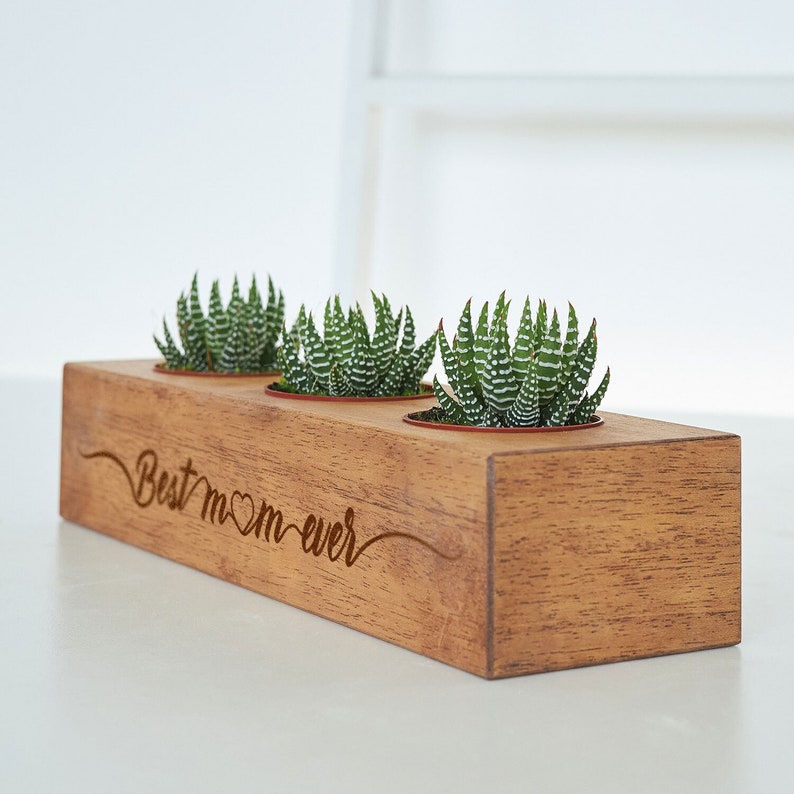 Best Mom Succulent Planter, Wooden Indoor Plant Holder, Personalized Plant Pot, Mom Appreciation, New Mom, Mother's Day Gift for Mom Grandma
