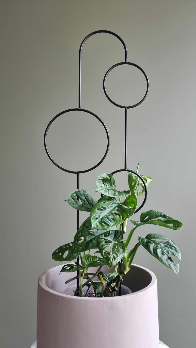 The Bubbles Plant Trellis | 70cm | metal plant support for monstera hoya | black | plant stake | plant giftsI accessories for climbing plant