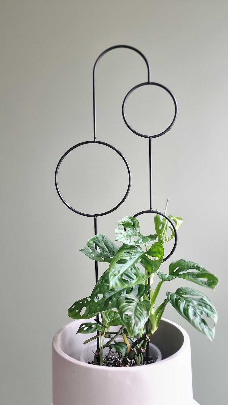 The Bubbles Plant Trellis | 70cm | metal plant support for monstera hoya | black | plant stake | plant giftsI accessories for climbing plant