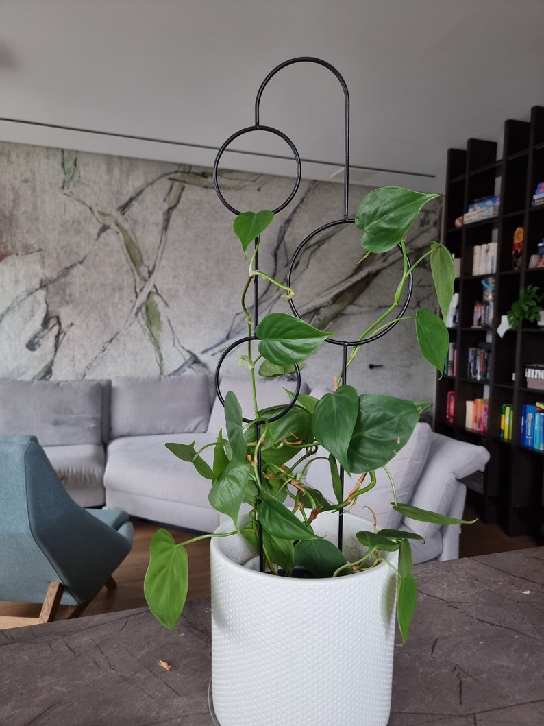 The Bubbles Plant Trellis | 70cm | metal plant support for monstera hoya | black | plant stake | plant giftsI accessories for climbing plant