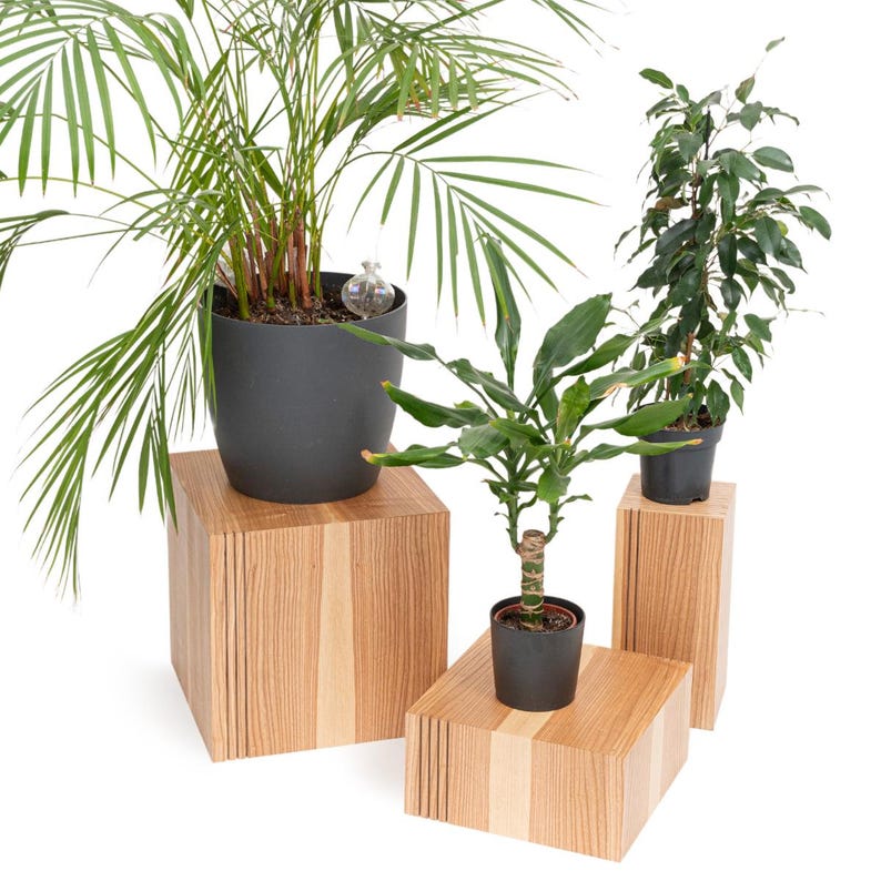 Floor Plant Stand Indoor Wood for Single Planter Stands, Wooden Modern Flower Podium Cubes,Unique Display for House Plants Pot, Pedestal