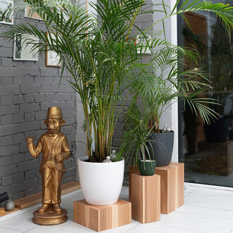 Floor Plant Stand Indoor Wood for Single Planter Stands, Wooden Modern Flower Podium Cubes,Unique Display for House Plants Pot, Pedestal