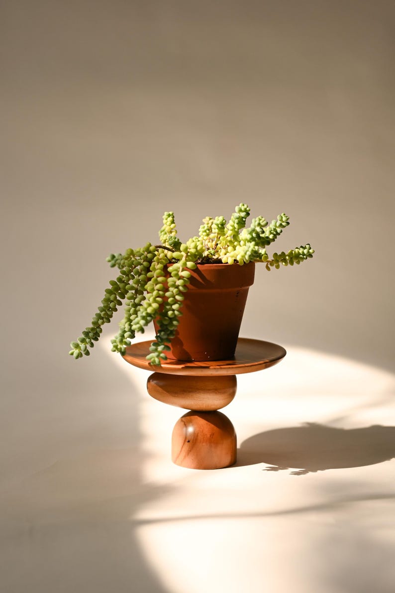 Classic Mini Plant Stand, Mid-century Modern, Indoor Solid Teak Wood Handmade Home Decor, Jewelry Dish, Catch All