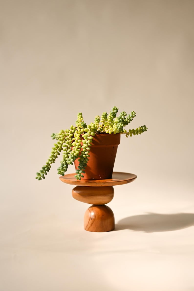 Classic Mini Plant Stand, Mid-century Modern, Indoor Solid Teak Wood Handmade Home Decor, Jewelry Dish, Catch All