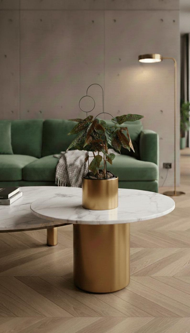 The Bubbles Plant Trellis | 70cm | metal plant support for monstera hoya | black | plant stake | plant giftsI accessories for climbing plant