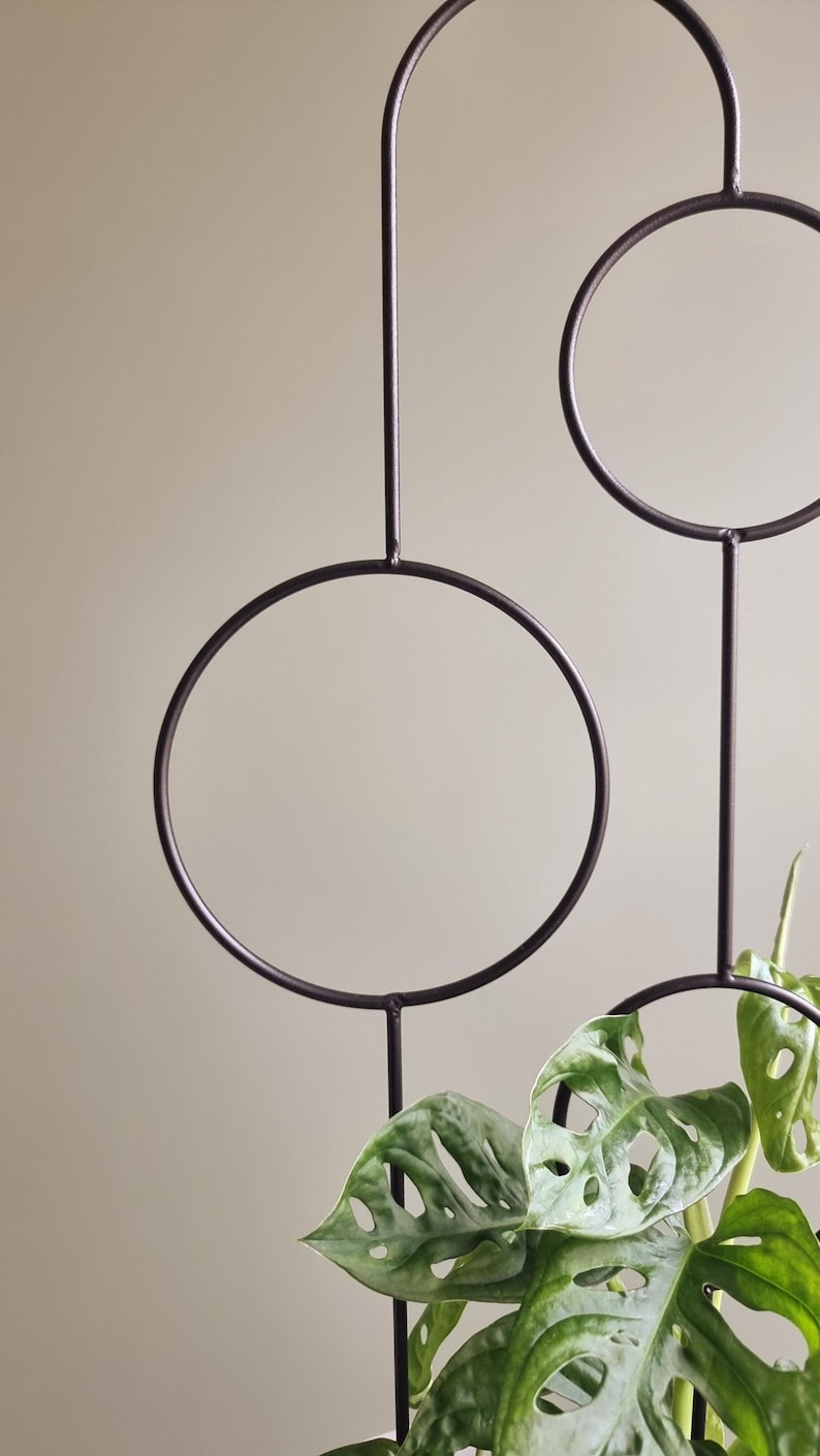 The Bubbles Plant Trellis | 70cm | metal plant support for monstera hoya | black | plant stake | plant giftsI accessories for climbing plant